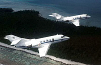 falcon20gardian_200